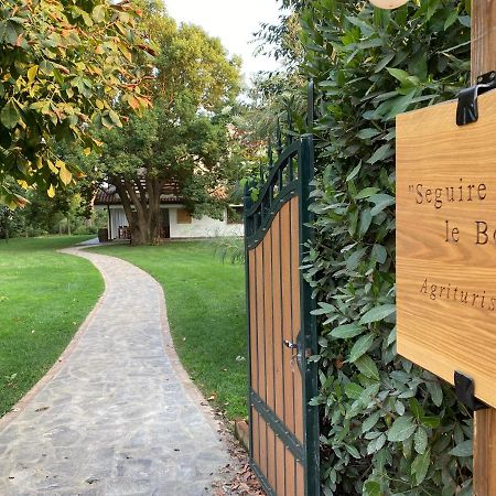Seguire Le Botti - Agriturismo Cantina Sant'Andrea Borgo Vodice ภายนอก รูปภาพ